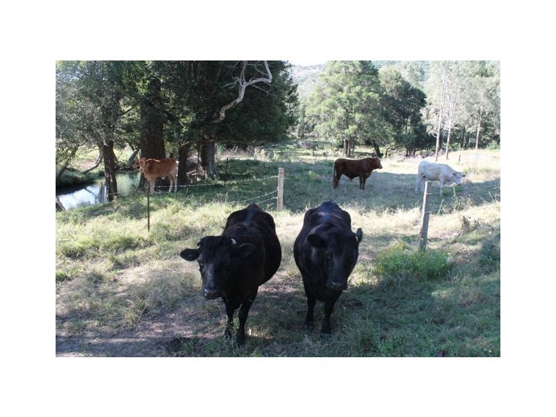 140 Cedar Creek Rd, Cedar Creek QLD 4207