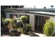 31 Witherby Cres, Tamborine Mountain QLD 4272