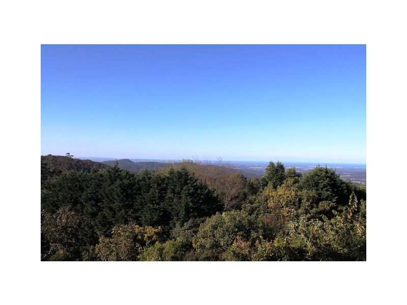 31 Witherby Cres, Tamborine Mountain QLD 4272