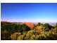31 Witherby Cres, Tamborine Mountain QLD 4272