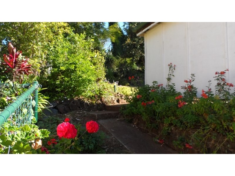 31 Witherby Cres, Tamborine Mountain QLD 4272