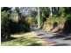 31 Witherby Cres, Tamborine Mountain QLD 4272