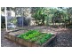291 MacDonnell Road, Tamborine Mountain QLD 4272
