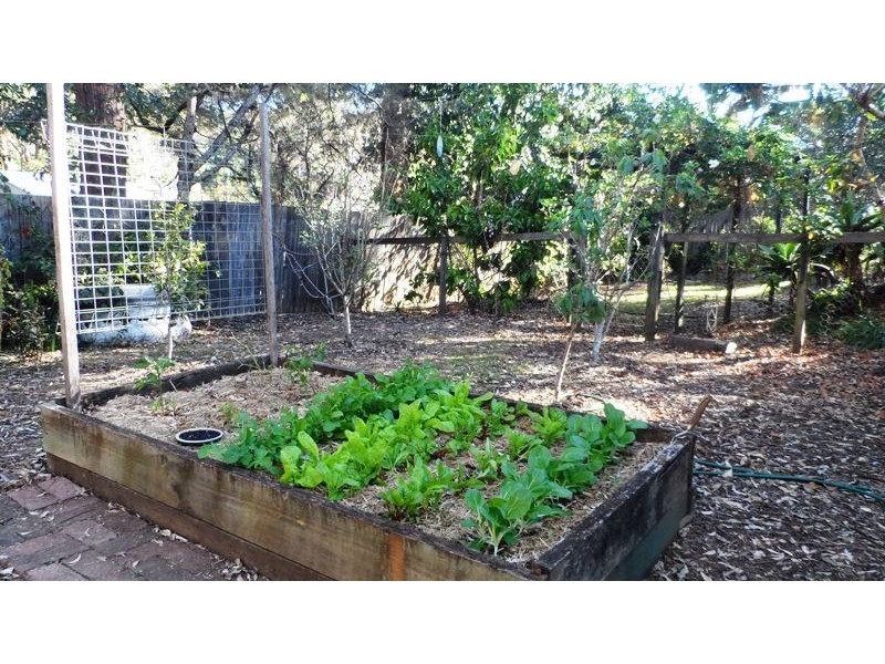 291 MacDonnell Road, Tamborine Mountain QLD 4272