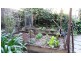 291 MacDonnell Road, Tamborine Mountain QLD 4272