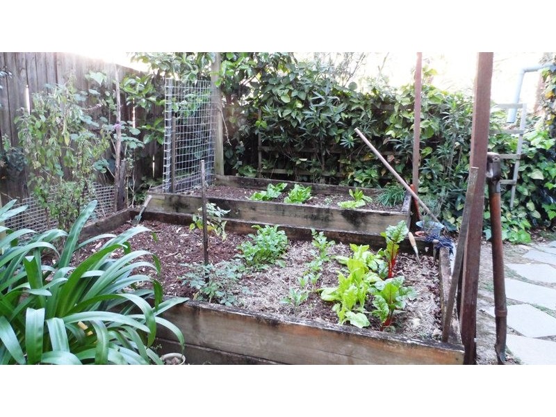 291 MacDonnell Road, Tamborine Mountain QLD 4272