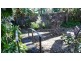 291 MacDonnell Road, Tamborine Mountain QLD 4272