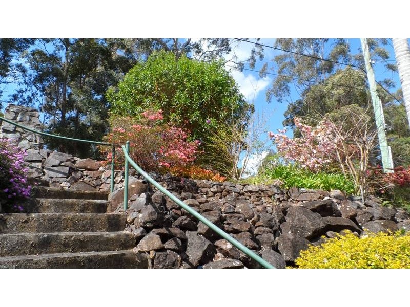 Tamborine Mountain QLD 4272