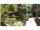 Tamborine Mountain QLD 4272