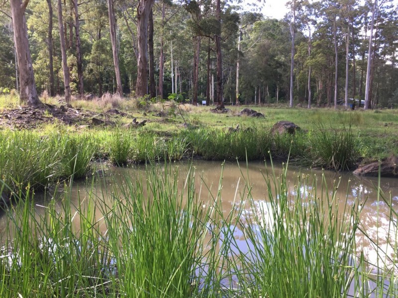 905K Main Western Rd, Tamborine Mountain QLD 4272