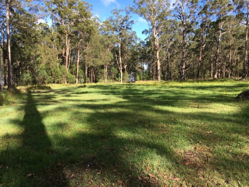 905K Main Western Rd, Tamborine Mountain QLD 4272