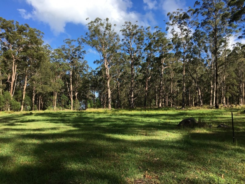 905K Main Western Rd, Tamborine Mountain QLD 4272