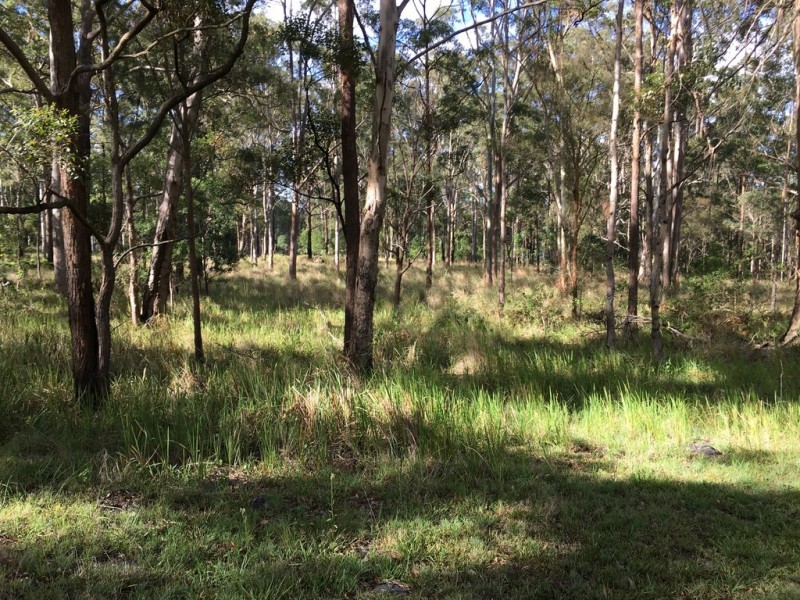 905K Main Western Rd, Tamborine Mountain QLD 4272