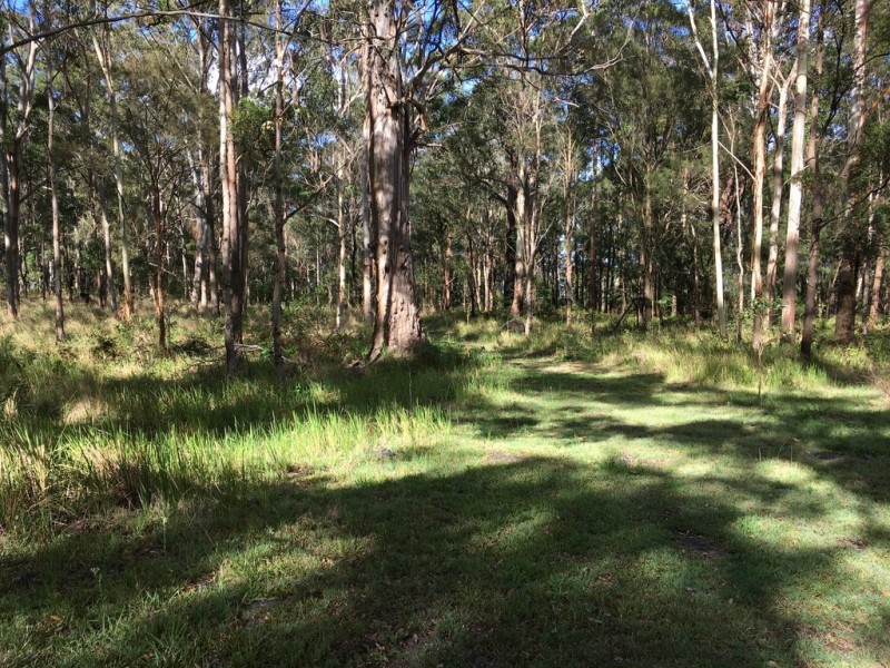 905K Main Western Rd, Tamborine Mountain QLD 4272