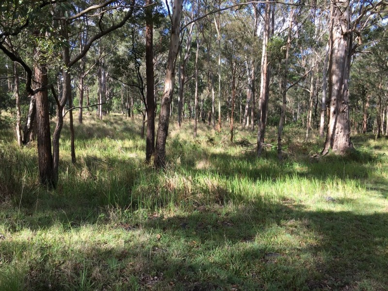 905K Main Western Rd, Tamborine Mountain QLD 4272