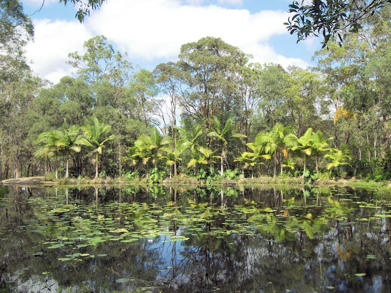 Upper Coomera QLD 4209