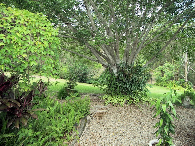 Upper Coomera QLD 4209