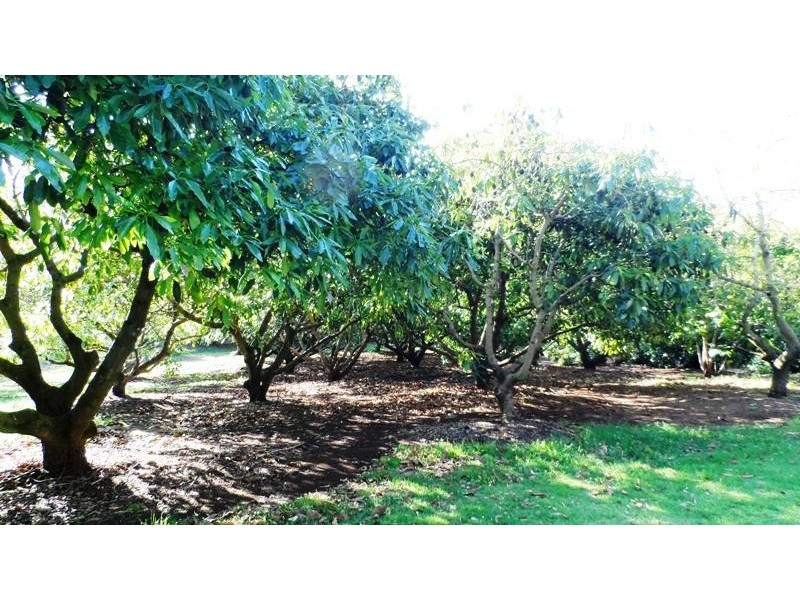 MacDonnell Rd Eagle Heights, Tamborine Mountain QLD 4272