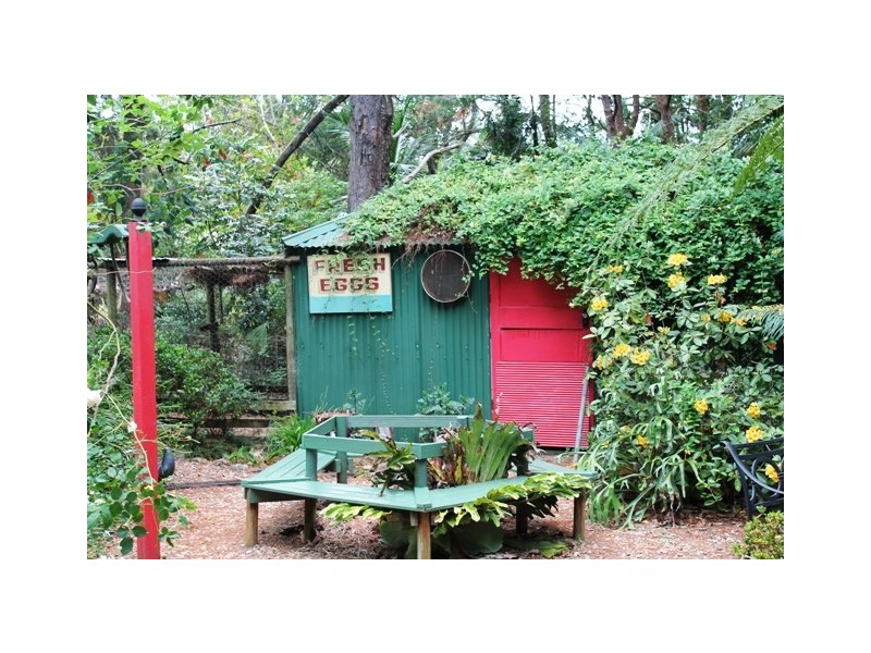 Tamborine Mountain QLD 4272