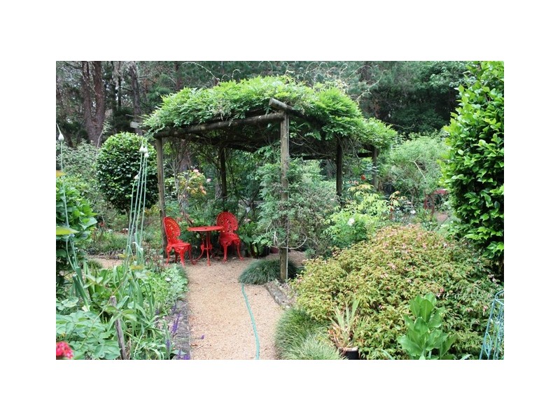 Tamborine Mountain QLD 4272