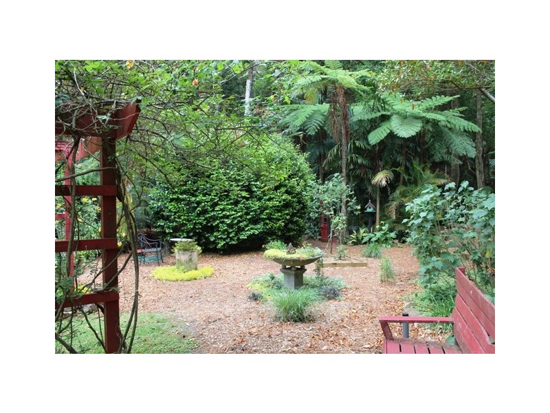 Tamborine Mountain QLD 4272