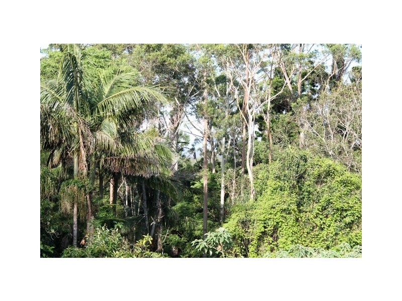 24 Wongawallan Rd, Eagle Heights QLD 4271