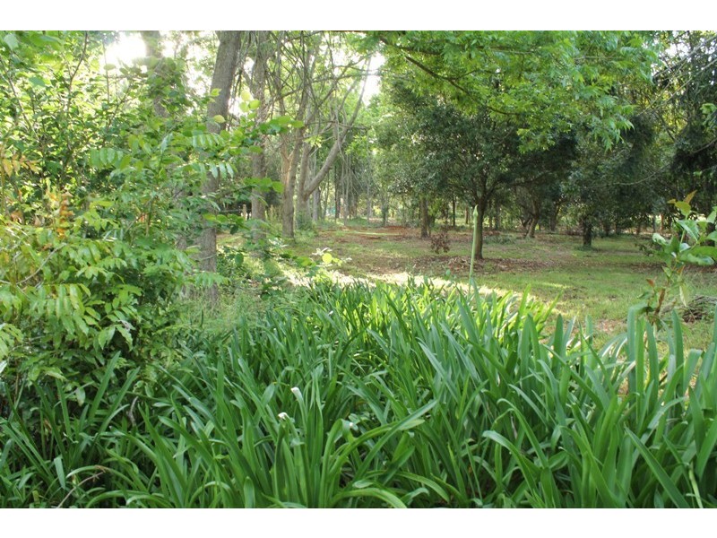 Tamborine Mountain QLD 4272