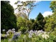 Tamborine Mountain QLD 4272