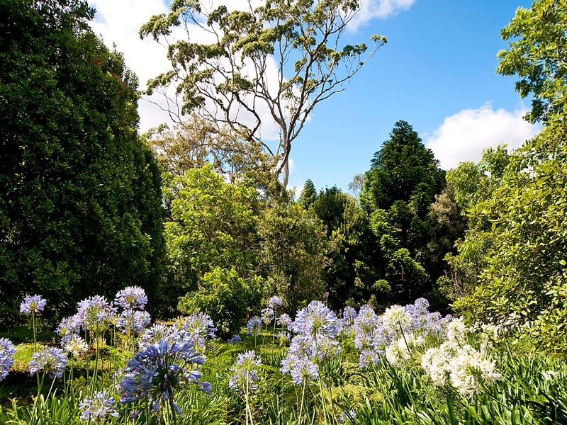 Tamborine Mountain QLD 4272