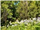 Tamborine Mountain QLD 4272