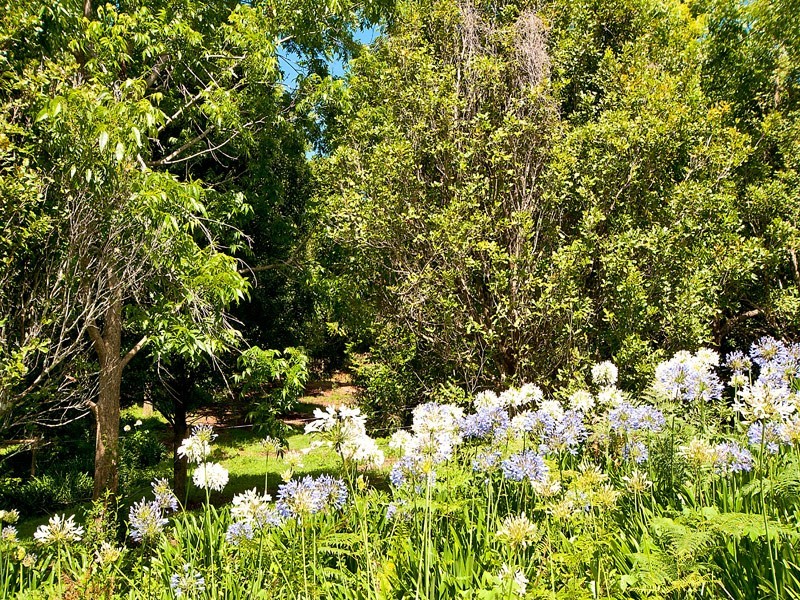 Tamborine Mountain QLD 4272