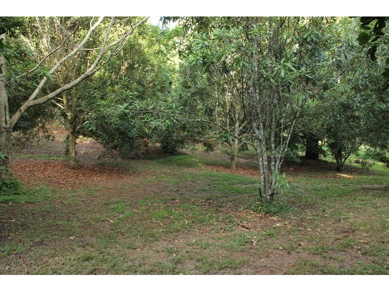 Tamborine Mountain QLD 4272