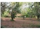 Tamborine Mountain QLD 4272