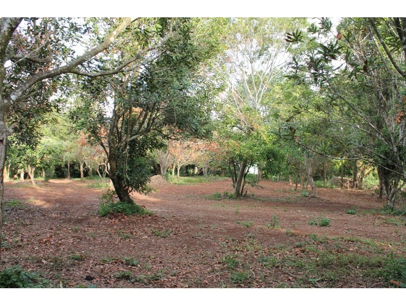 Tamborine Mountain QLD 4272