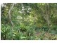 Tamborine Mountain QLD 4272
