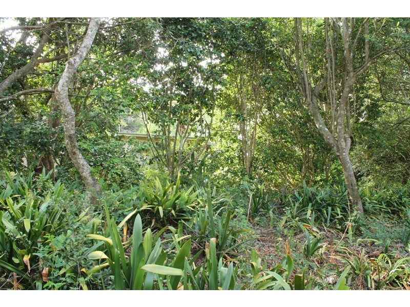 Tamborine Mountain QLD 4272