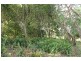 Tamborine Mountain QLD 4272