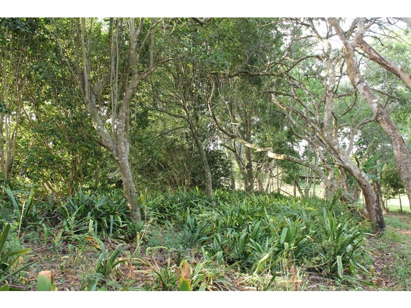 Tamborine Mountain QLD 4272