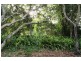 Tamborine Mountain QLD 4272