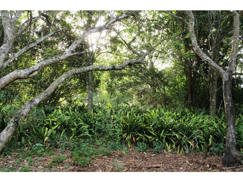 Tamborine Mountain QLD 4272