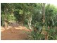 Tamborine Mountain QLD 4272