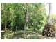 Tamborine Mountain QLD 4272
