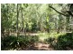 Tamborine Mountain QLD 4272
