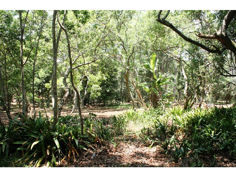 Tamborine Mountain QLD 4272