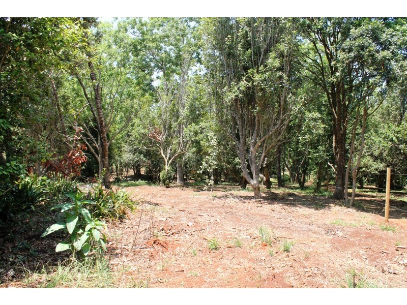 Tamborine Mountain QLD 4272