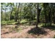 Tamborine Mountain QLD 4272