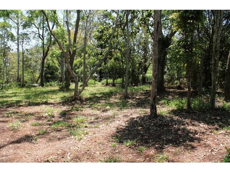 Tamborine Mountain QLD 4272