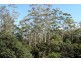 Lot 4 EAGLES RETREAT CLOSE, Eagle Heights QLD 4271