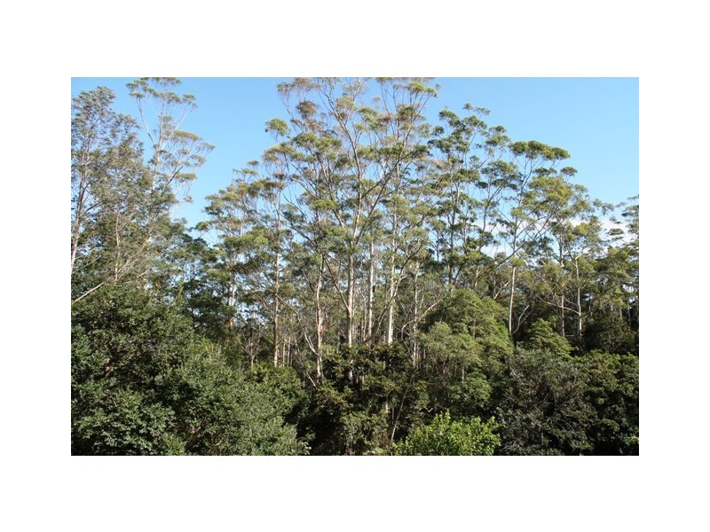 Lot 4 EAGLES RETREAT CLOSE, Eagle Heights QLD 4271
