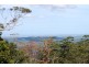 11 Cliff Way, Tamborine Mountain QLD 4272